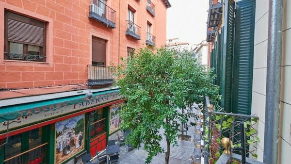 Habitacion Maravillosa En Apartamento Compartido Madrid Centro Kültér fotó